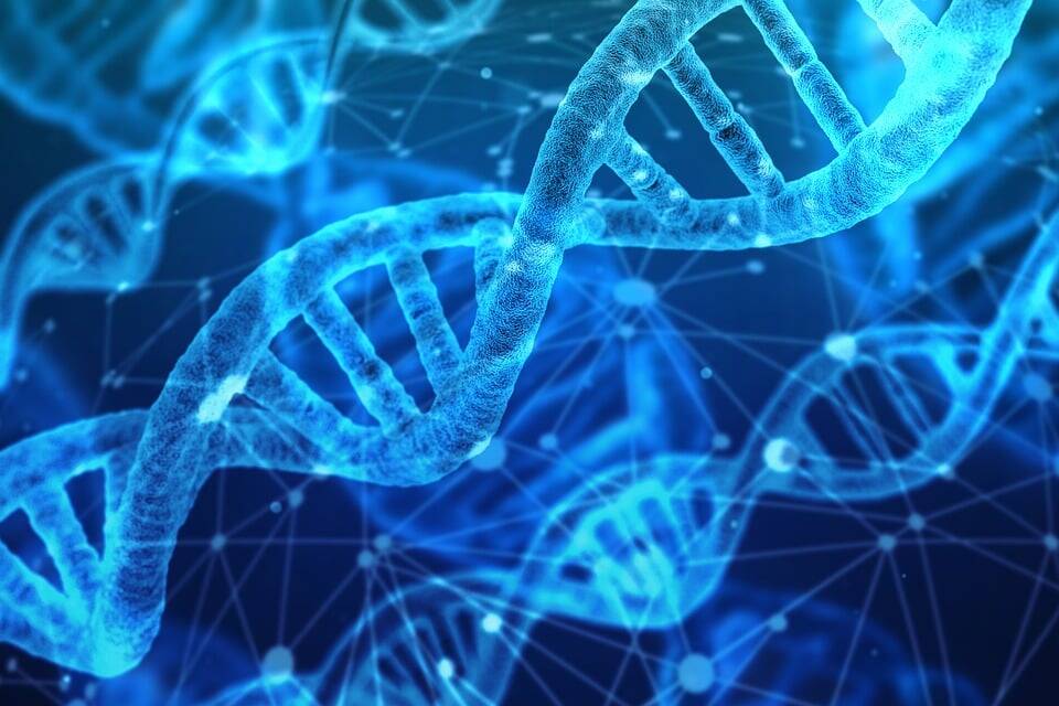 dna, analysis, research-3539309.jpg